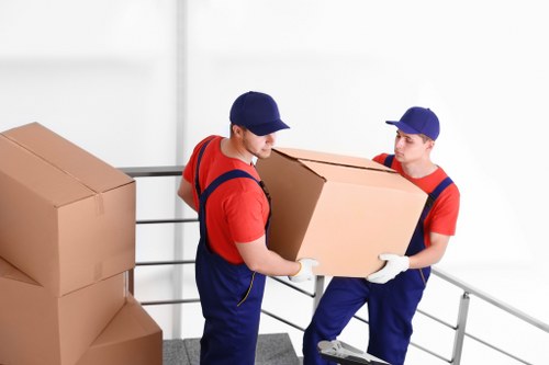 Illustration representing accessible Paddington Storage website content